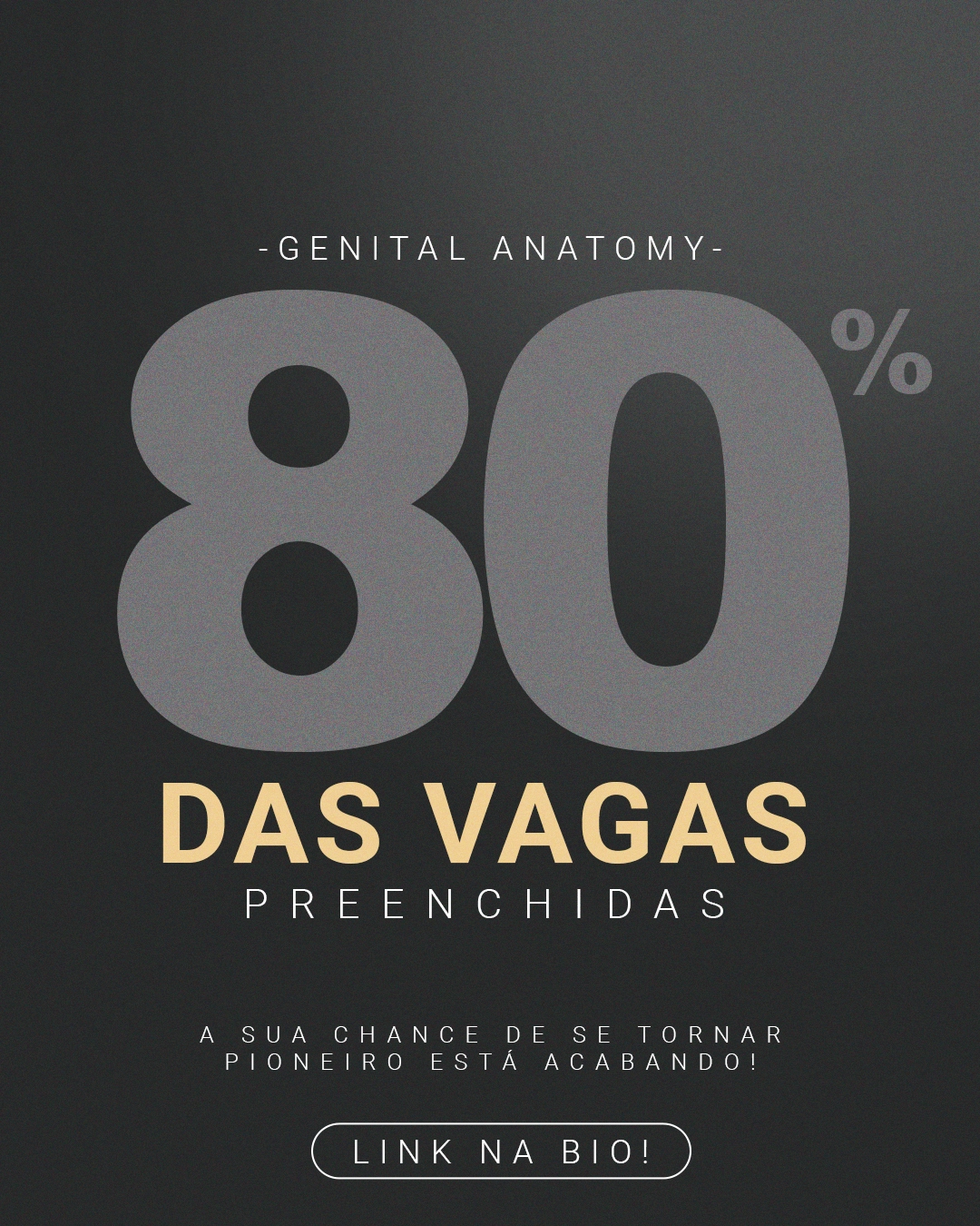 GA LAPIDARE - 80% VAGAS - 04
